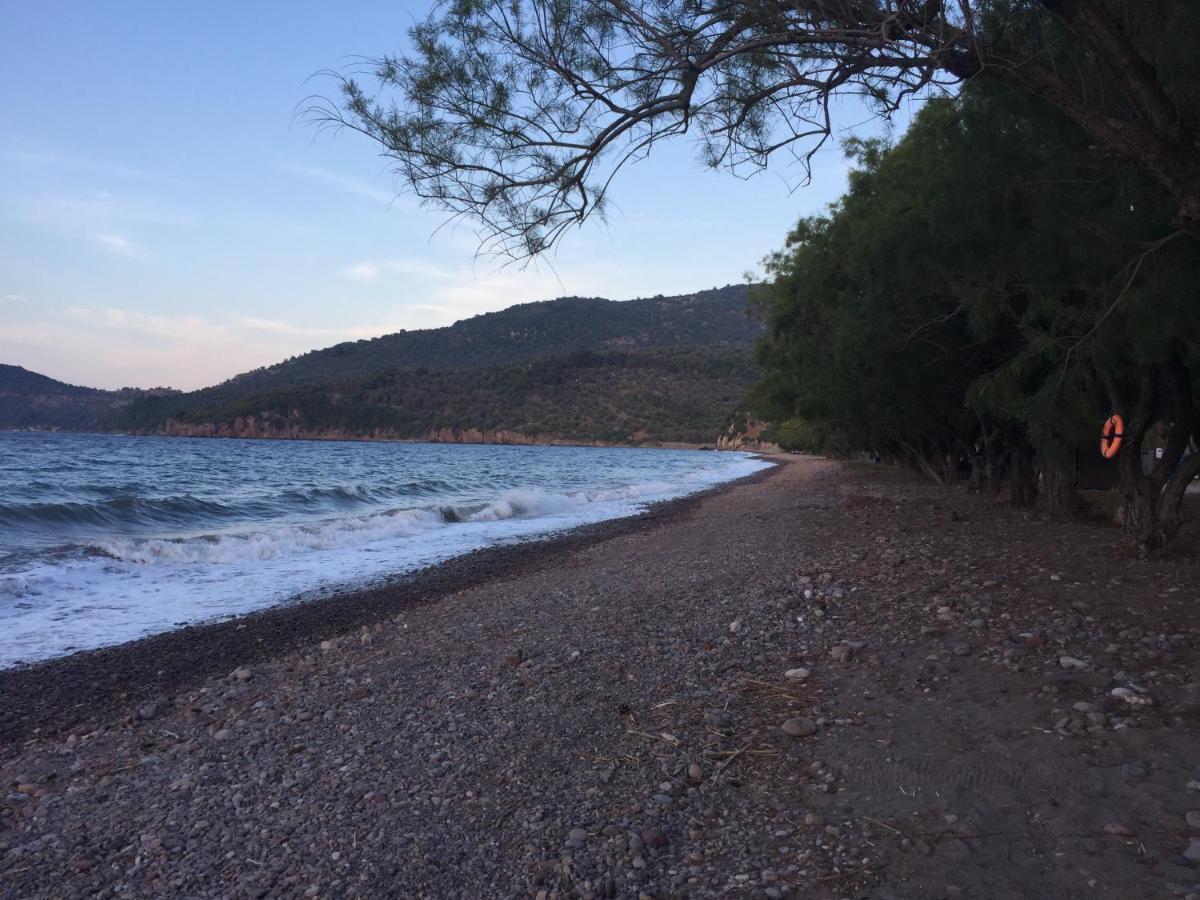 Gorgona Hotel Σκάλα Συκαμιάς Εξωτερικό φωτογραφία